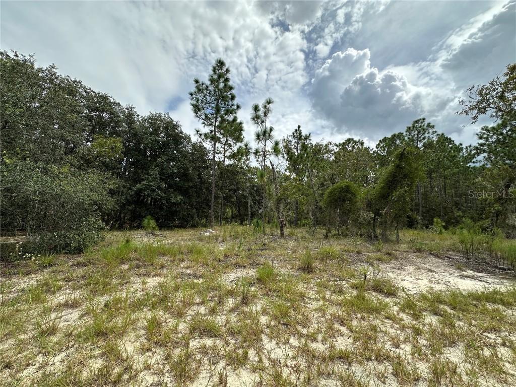 TBD SE 128th Ave., Dunnellon, FL 34431