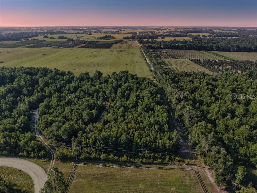 00 175th Ave., Morriston, FL 32668