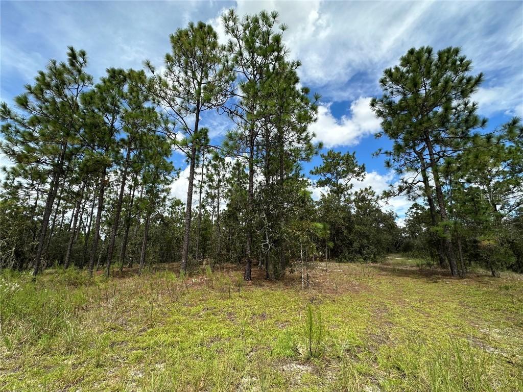 TBD SE 105th Ln., Dunnellon, FL 34431
