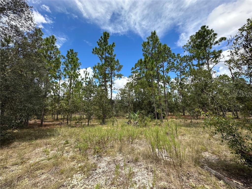 [Address Hidden by Seller], Dunnellon, FL 34432