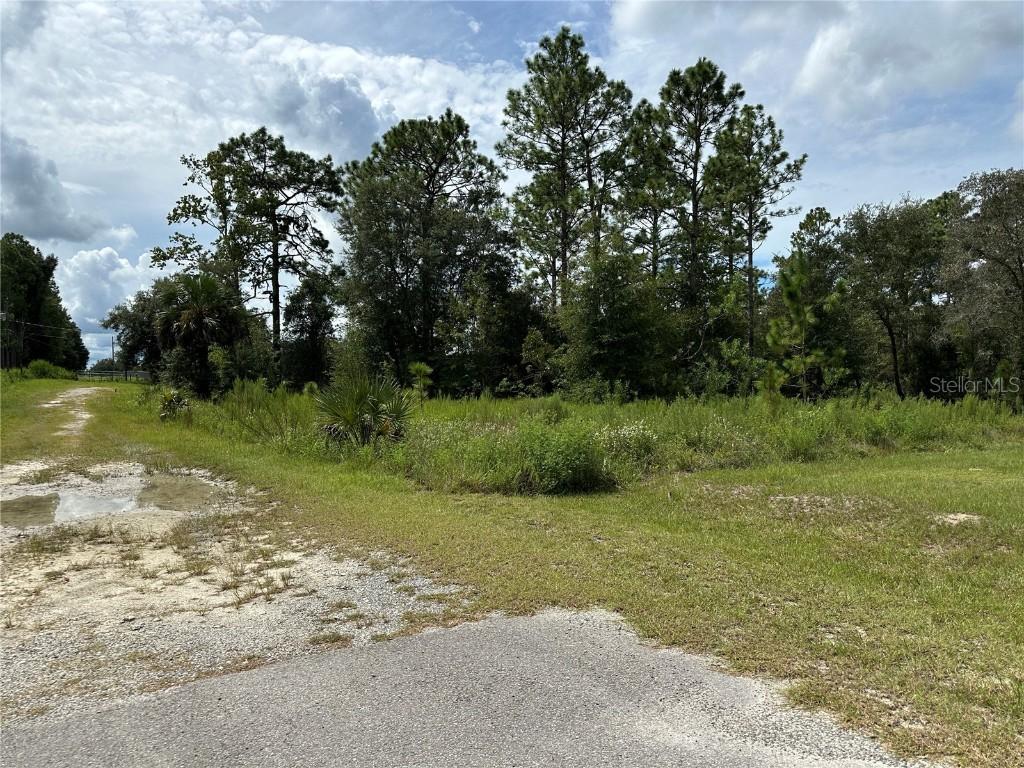 TBD SE 130th Ct., Dunnellon, FL 34431