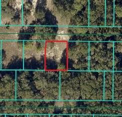 TBD NW 14th Pl., Ocala, FL 34482