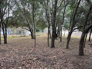 Lot 30 Hemlock Radial Ct., Ocala, FL 34472