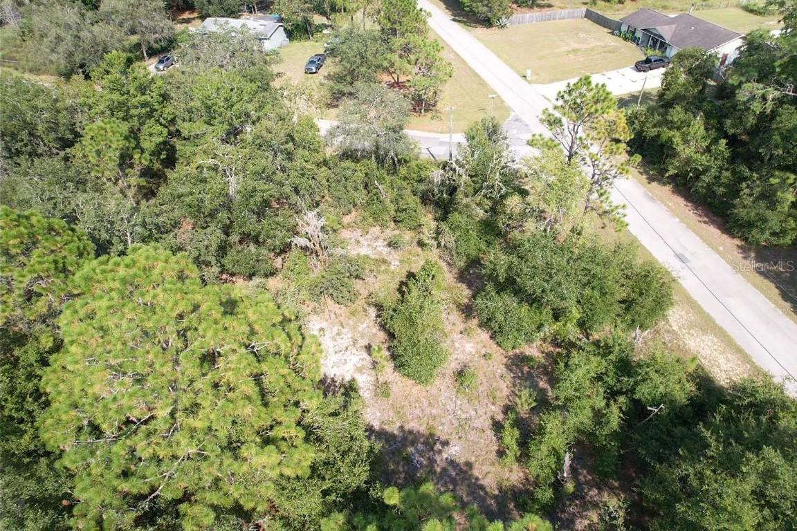 11682 N Belluzzi Ter., Dunnellon, FL 34433