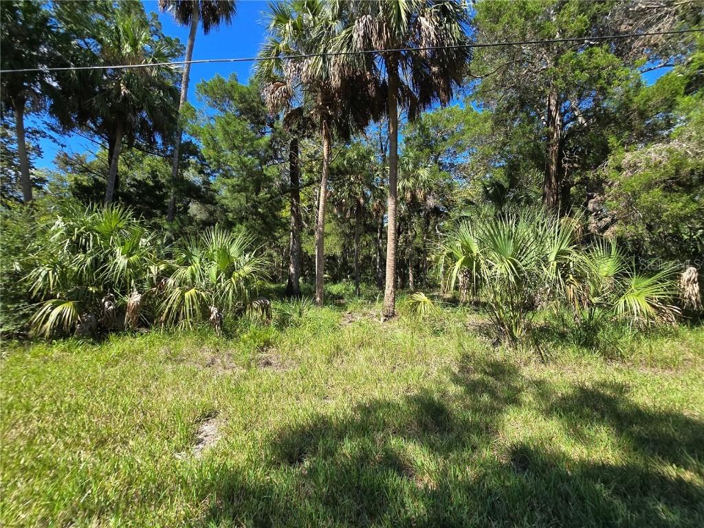 10919 W London Ln., Homosassa, FL 34448