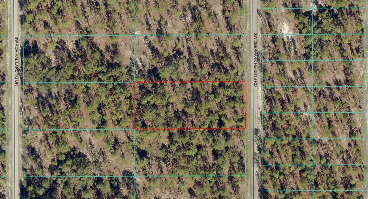 TBD LOT 12 SW Deerpark Heights Rd., Dunnellon, FL 34431