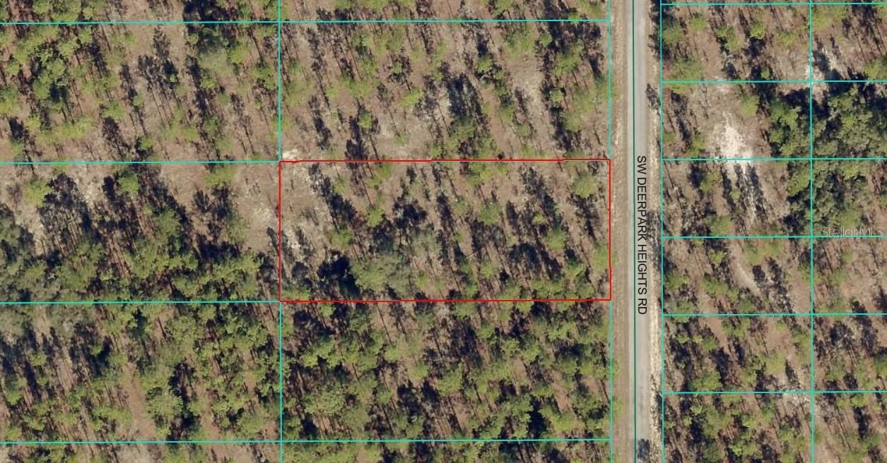 TBD LOT 11 SW Deerpark Heights Rd., Dunnellon, FL 34431