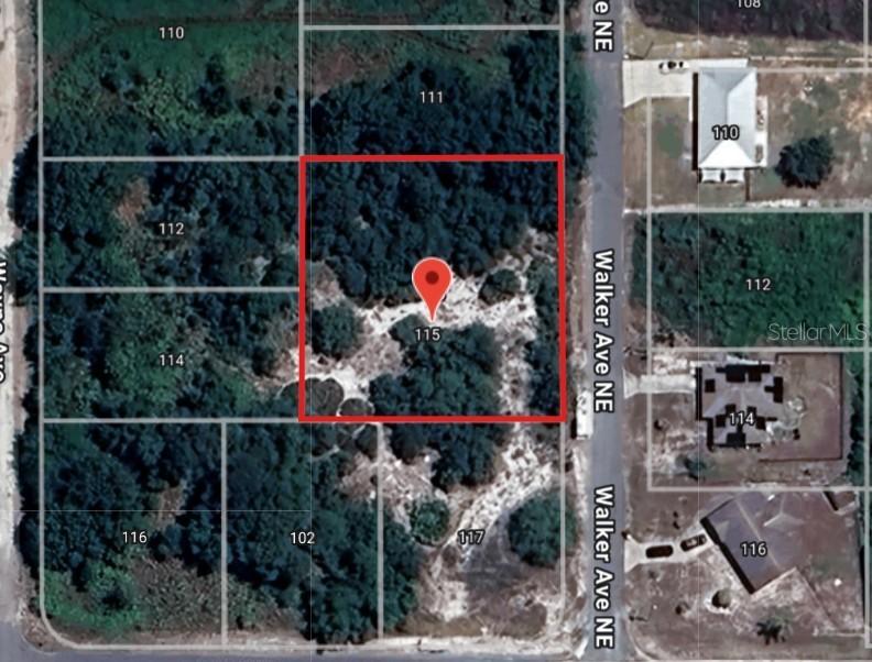 113 Walker Ave., Lake Placid, FL 33852