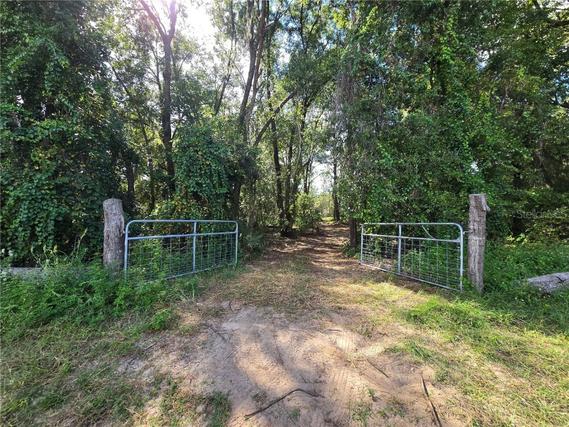 New Homes For Sale This Week That Attend Hernando Elementary School: September 19th to September 25th
