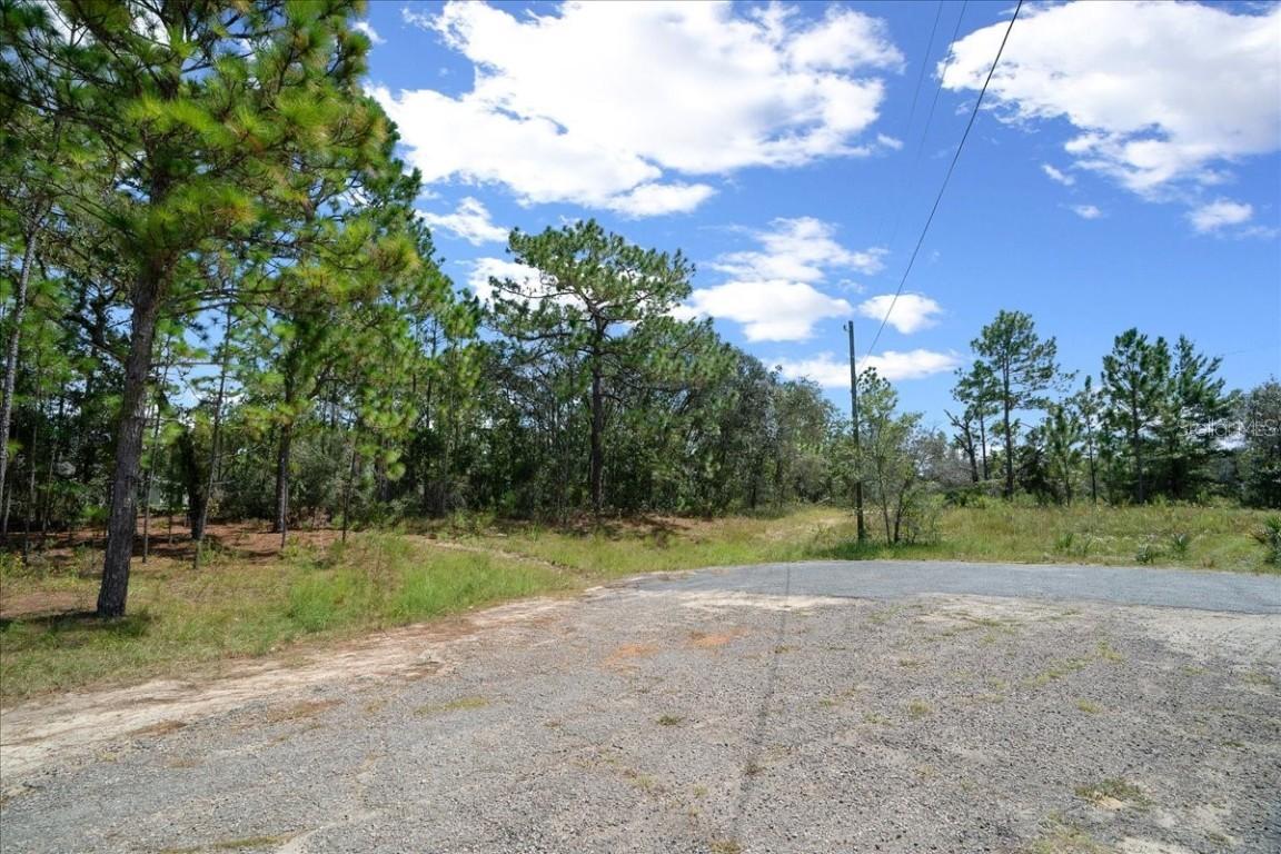 2779 W Tracy Ct., Citrus Springs, FL 34433