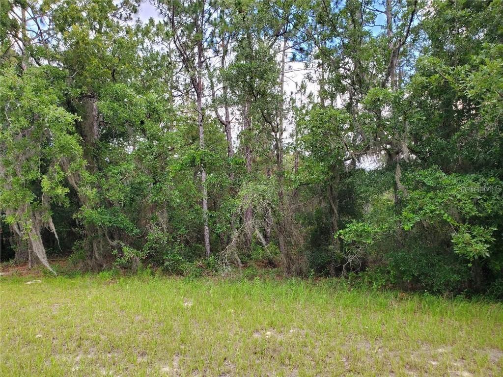 8650 SW 138 Ln., Ocala, FL 34473