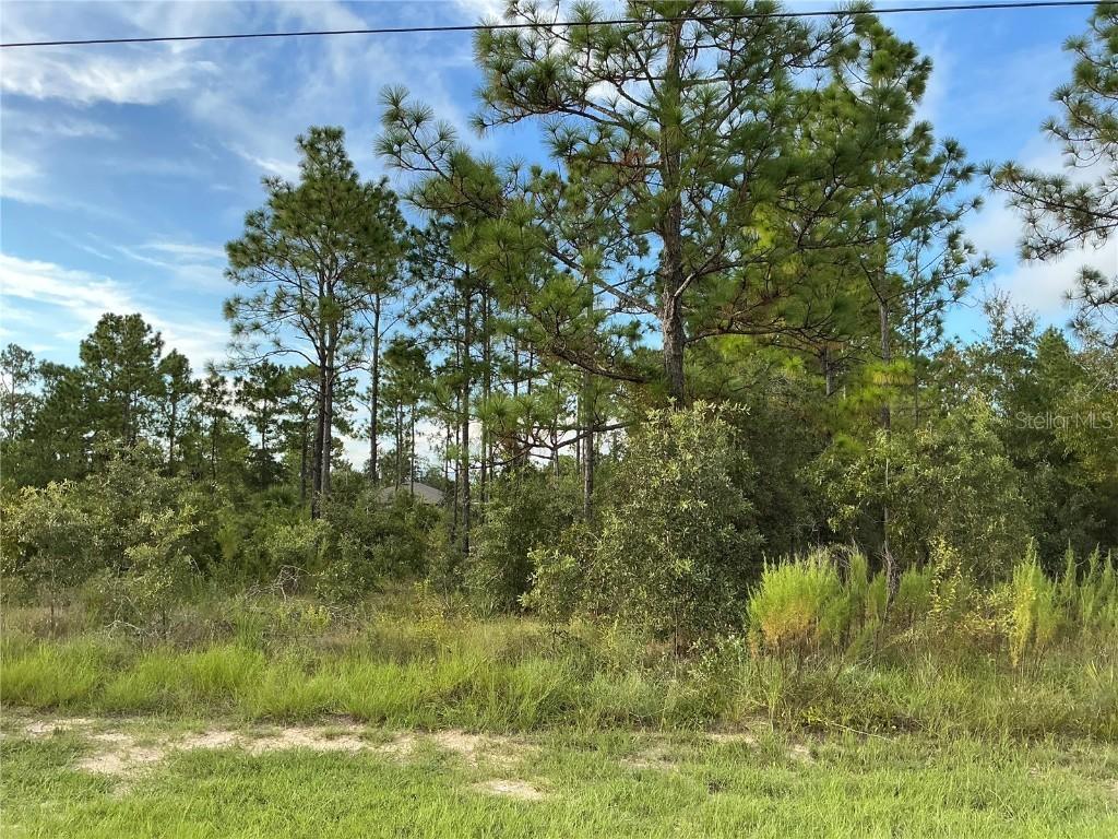 Calypso Ave., Brooksville, FL 34614