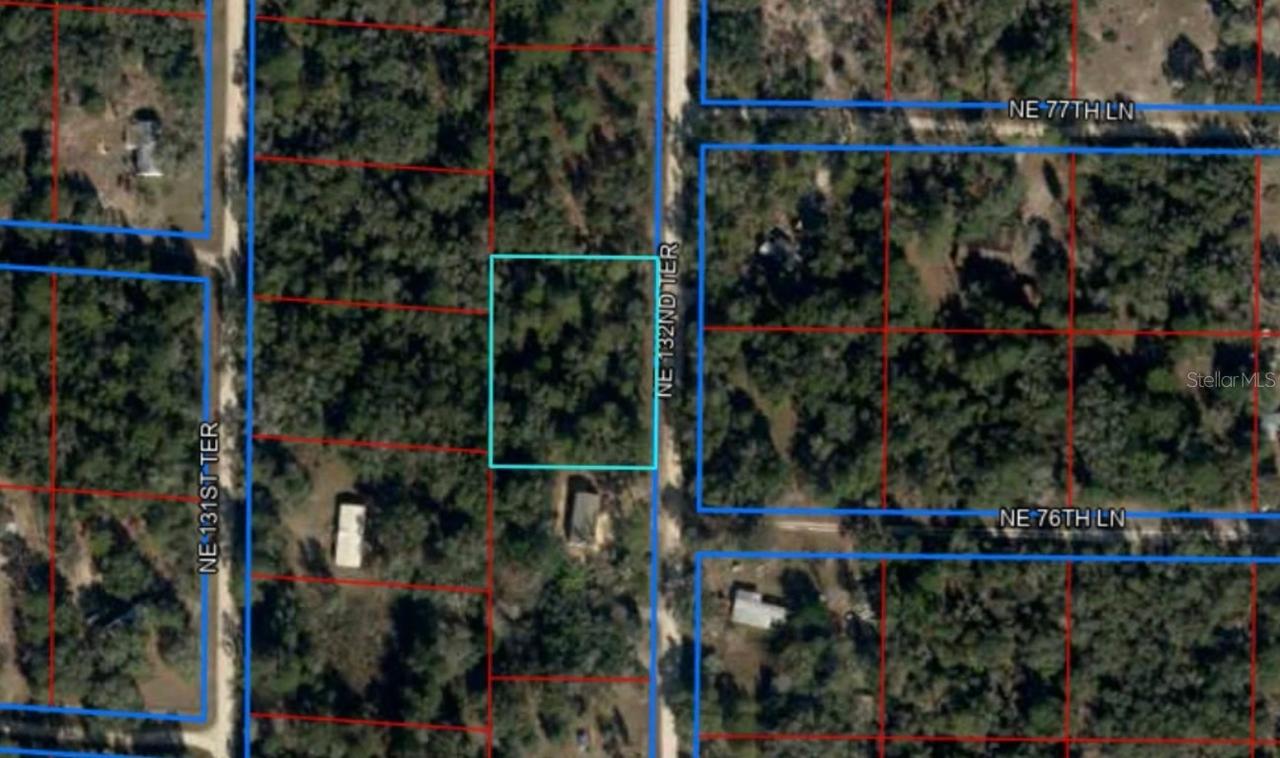 7750 NE 132nd Ter., Bronson, FL 32621