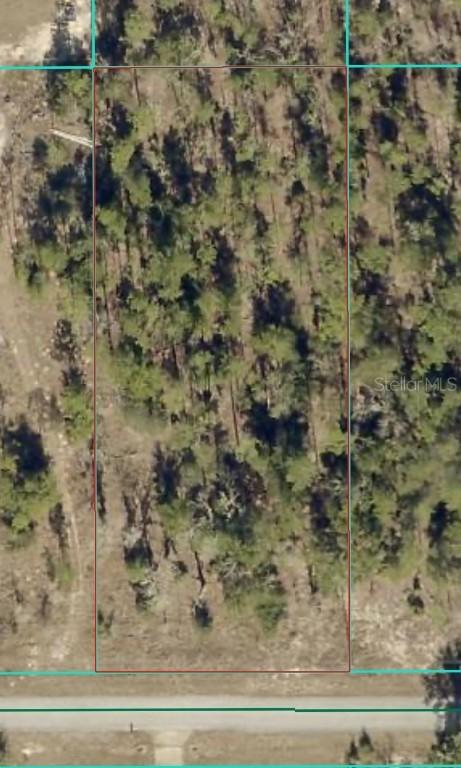 TBD SW Lakeland Heights Avenue, Dunnellon, FL 34432