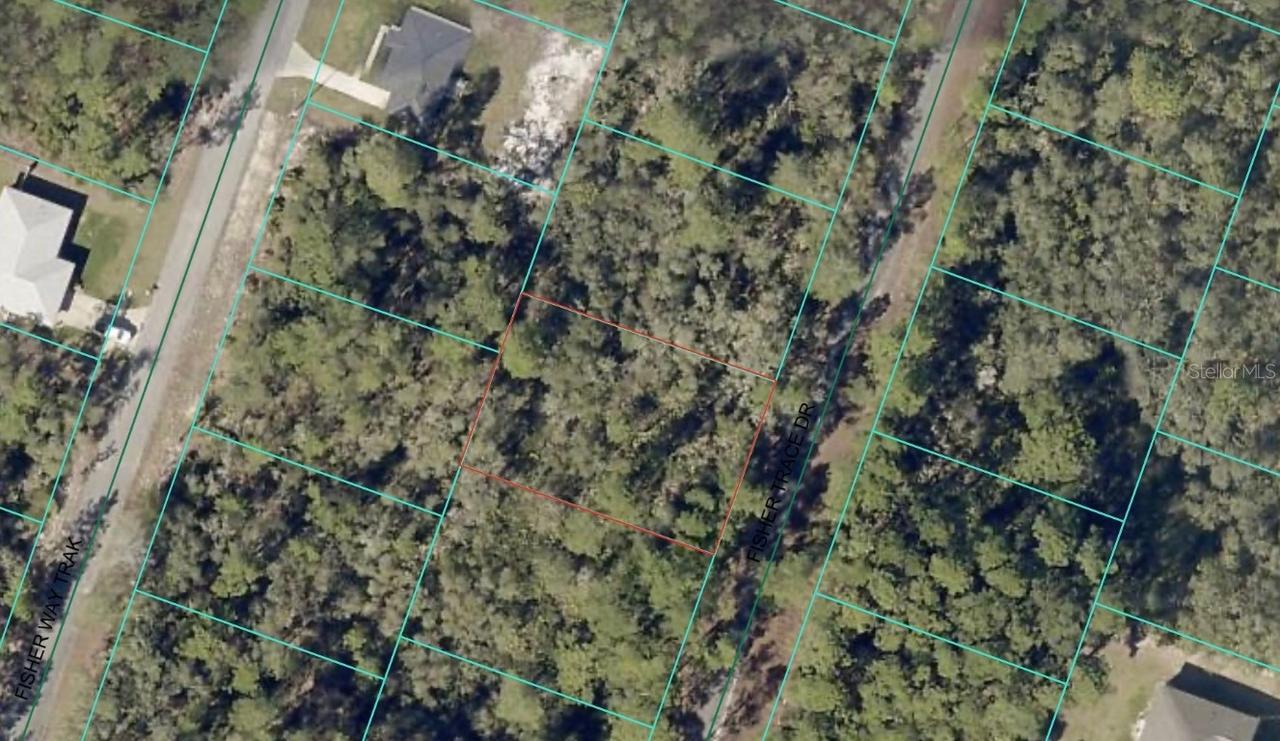 00 Fisher Trace Dr., Ocklawaha, FL 32179