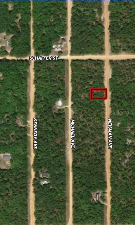 LOT 33 Neisman Ave., Interlachen, FL 32148