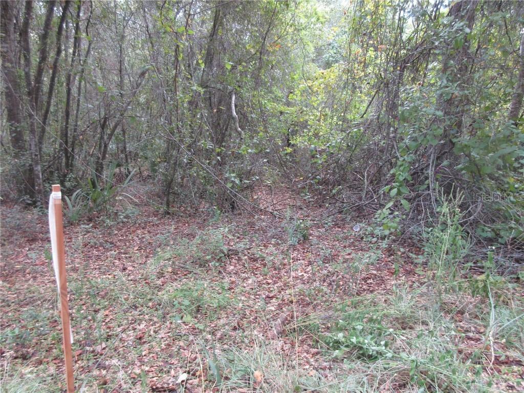 SE 1 Ln, Silver Springs, FL 34488
