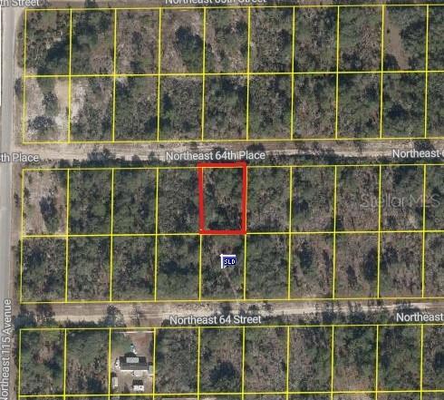 Blk 46 Lot 5 NE 64th Pl., Williston, FL 32696