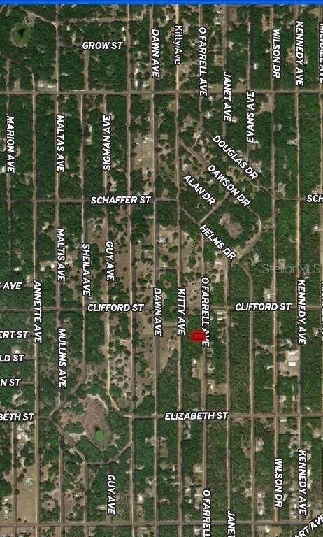 LOT 32 Offarrel Dr., Interlachen, FL 32148