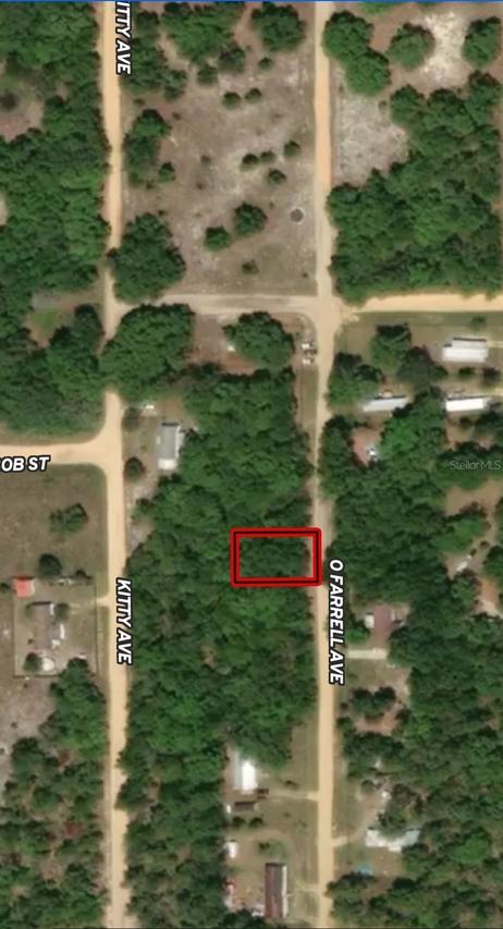 LOT 32 Offarrel Dr., Interlachen, FL 32148