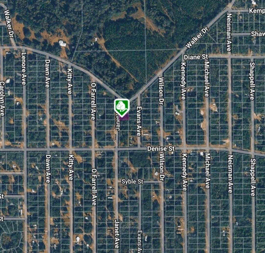 LOT 3 Janet Ave., Interlachen, FL 32148