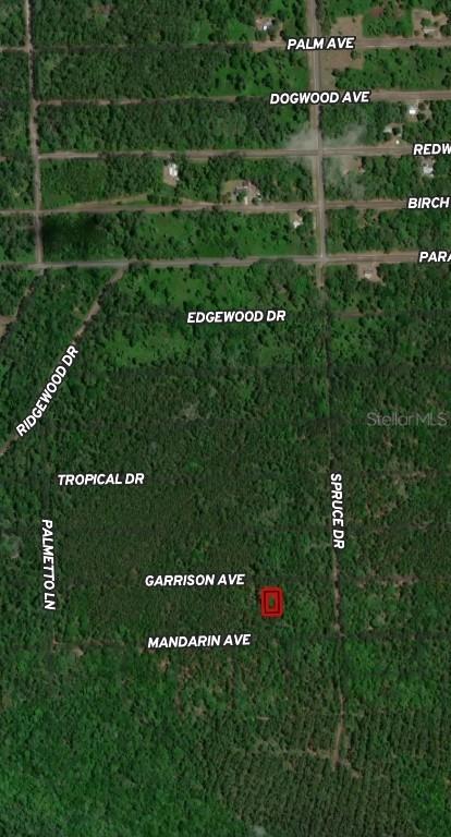 131 Garrison Ave., Georgetown, FL 32139