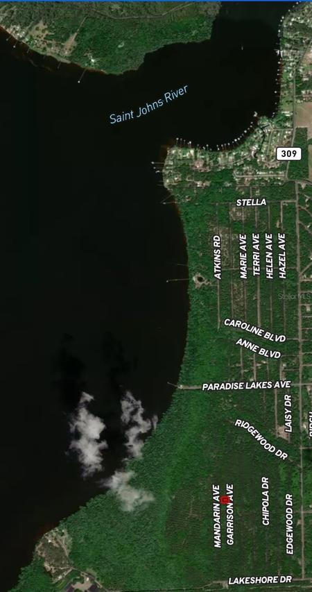 131 Garrison Ave., Georgetown, FL 32139