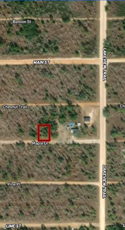 LOT 46 & 46 Maple Dr., Interlachen, FL 32148