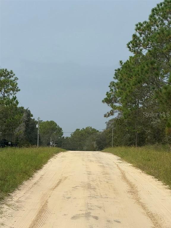 TBD Sw 89th St Lot 3 E 1/2, Dunnellon, FL 34432