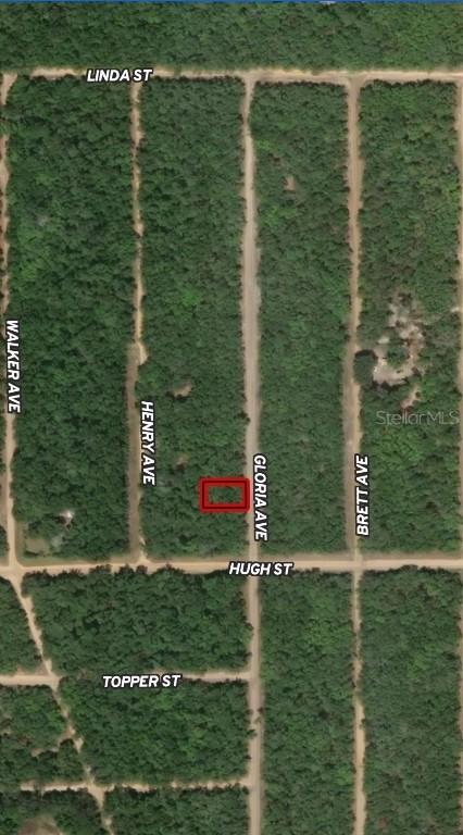 LOT 20 Gloria Ave., Interlachen, FL 32148
