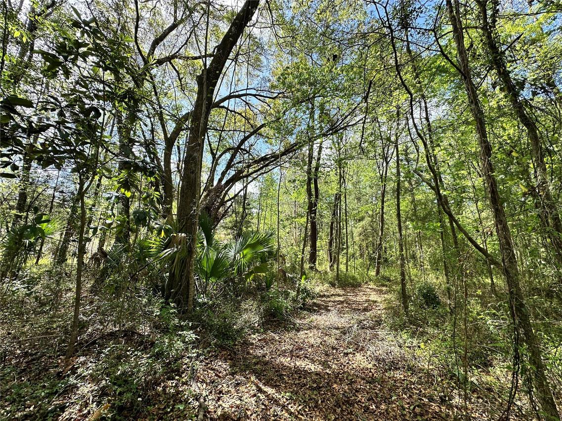 tbd SW 5th Ln., Ocala, FL 34481