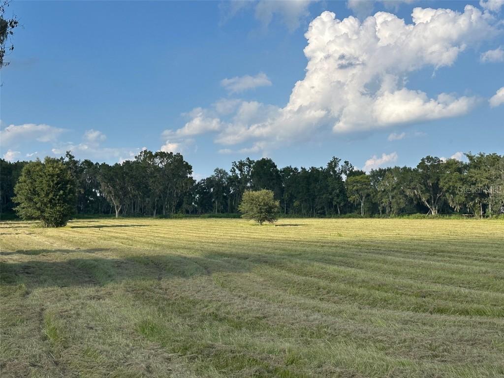 TBD NW 100th Ave., Ocala, FL 34482