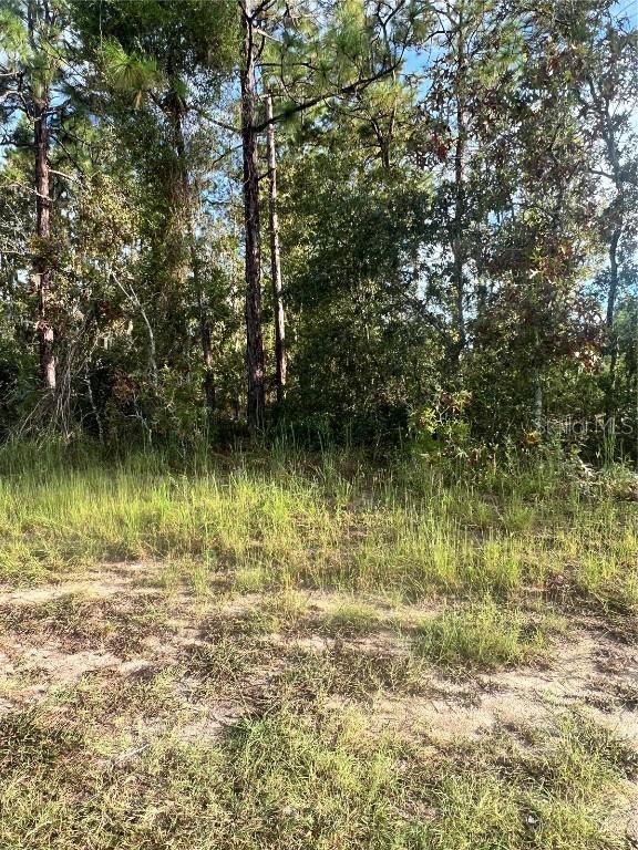 Hemlock Trl, Ocala, FL 34472