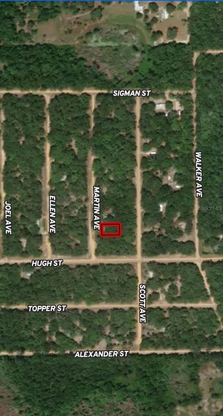 LOT 12 Martin Ave., Interlachen, FL 32148
