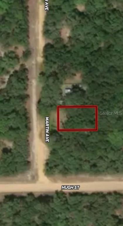 LOT 12 Martin Ave., Interlachen, FL 32148