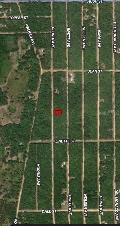 LOT 8 Gloria Ave., Interlachen, FL 32148