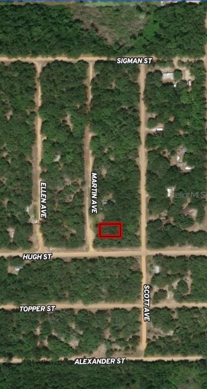 LOT 13 Martin Ave., Interlachen, FL 32148