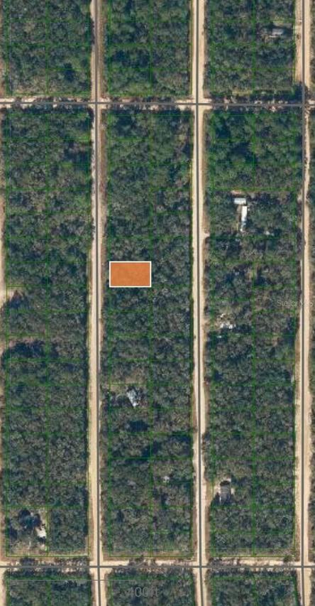 LOT 7 Neilsen Ave., Interlachen, FL 32148