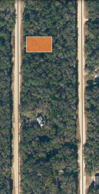 LOT 7 Neilsen Ave., Interlachen, FL 32148