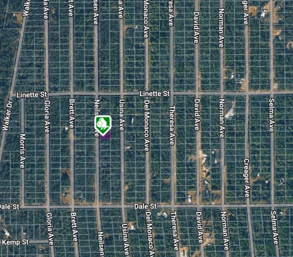 LOT 7 Neilsen Ave., Interlachen, FL 32148