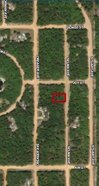 LOT 19 Selma Ave., Interlachen, FL 32148