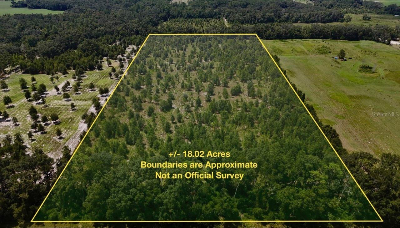 00 176th St, Mc Alpin, FL 32062