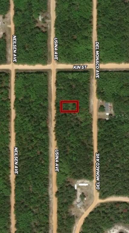 LOT 4 Usina Ave., Interlachen, FL 32148