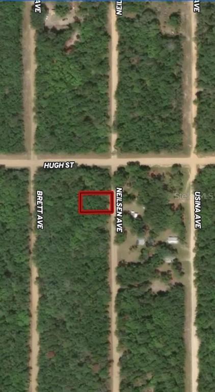 LOT 35 Neilsen Ave., Interlachen, FL 32148
