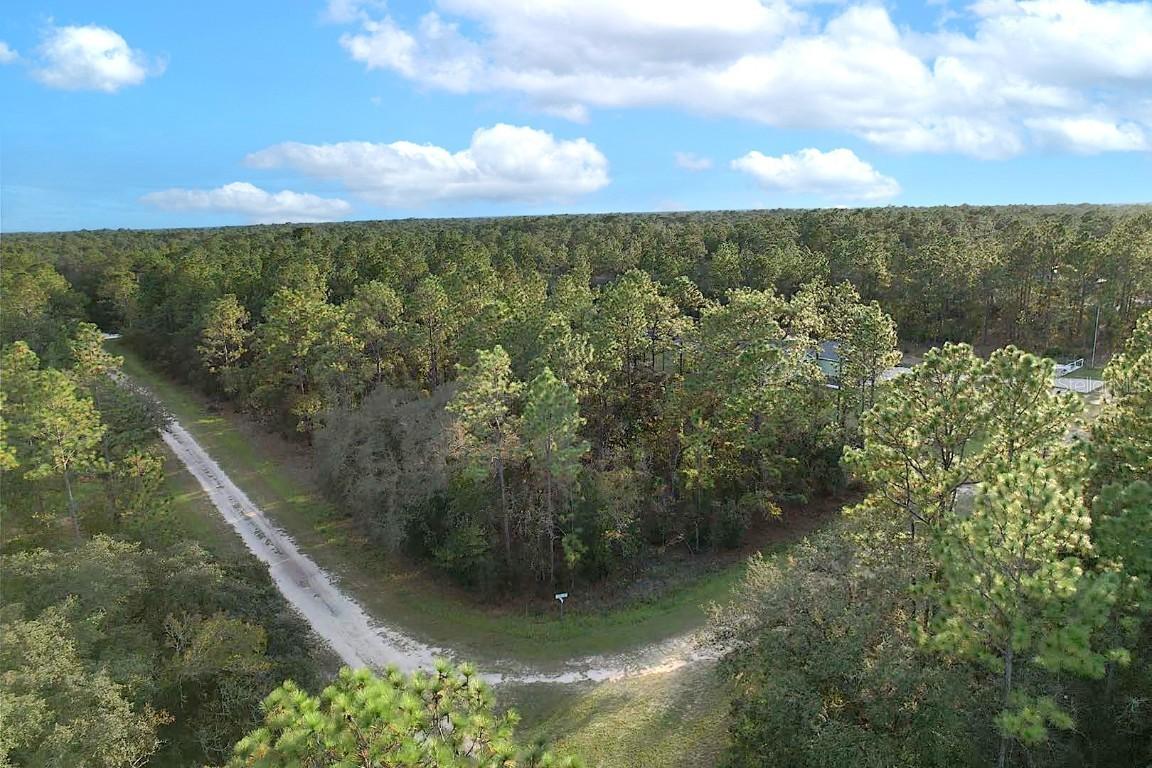 00 TBD SW 88th St., Dunnellon, FL 34432