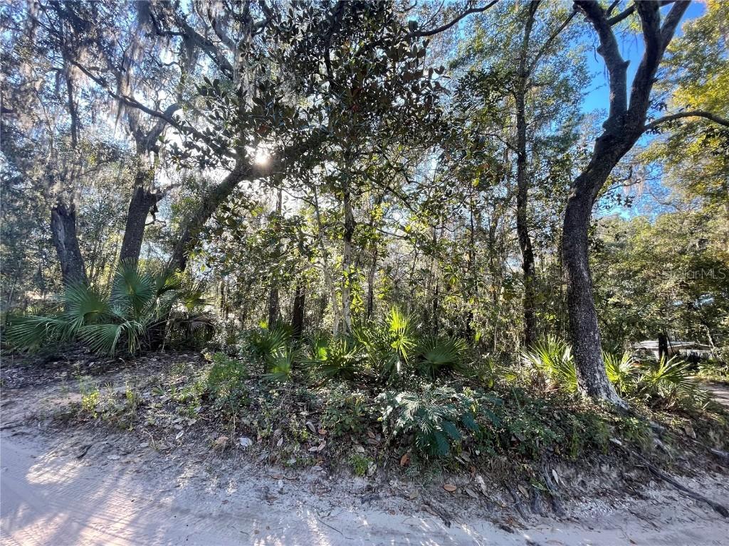 TBD NE 199th Place Pl., Fort Mc Coy, FL 32134