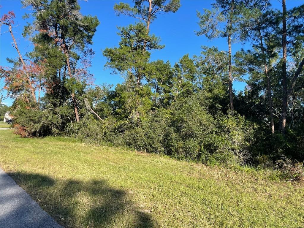 Marion Oaks Lane, Ocala, FL 34476