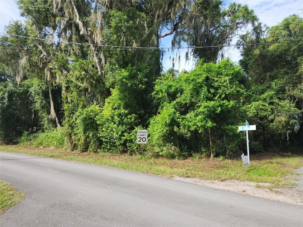 SE 143rd Ln., Weirsdale, FL 32195