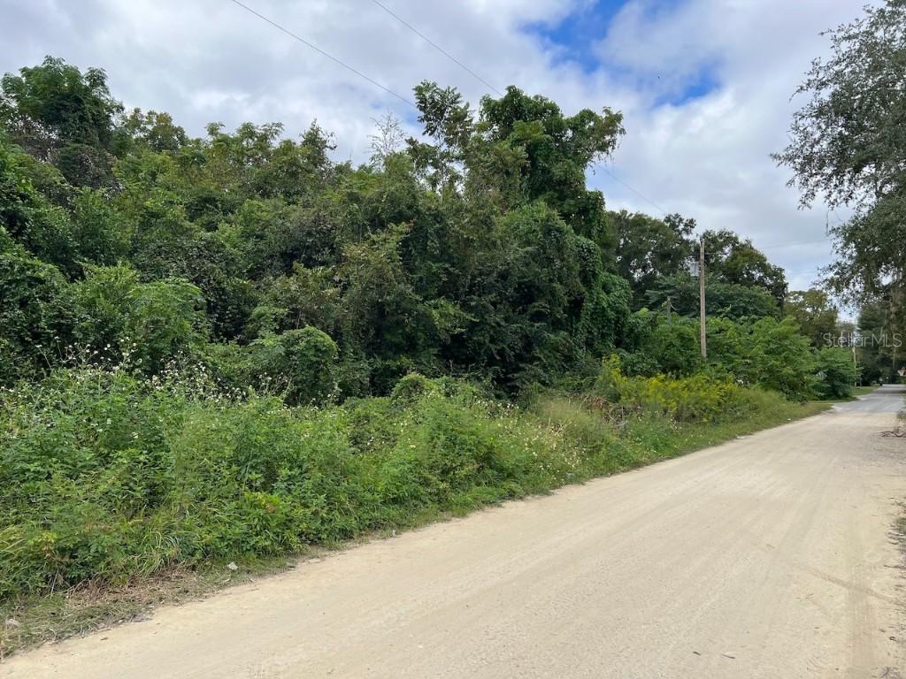 000 NE 40th Pl., Williston, FL 32696