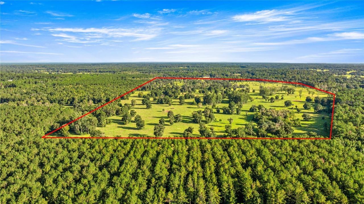 17748 N Hwy 329, Reddick, FL 32686
